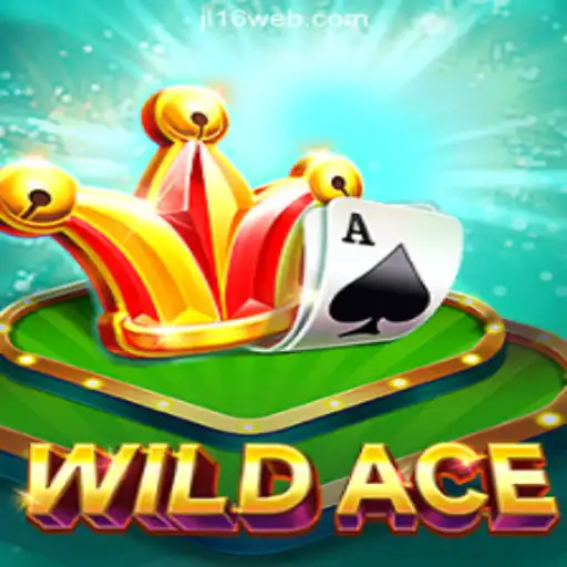 Exploring WildAce: An Engaging New Gaming Experience
